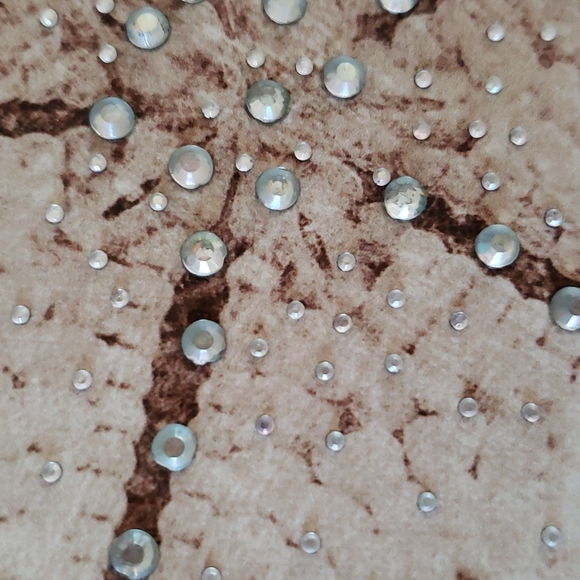 Lepore Wall Decor Lepore Coastal Collection